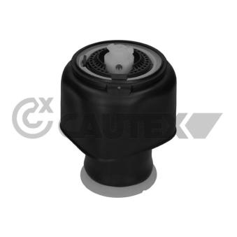 Ressort pneumatique, châssis CAUTEX OEM 37106781828