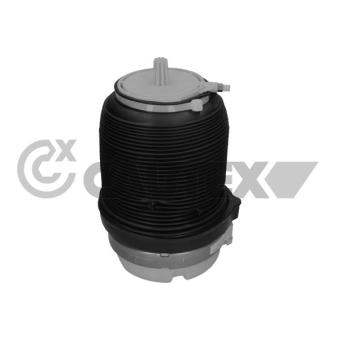 Ressort pneumatique, châssis CAUTEX OEM 4F0616001J