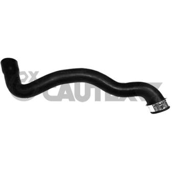 Durite de radiateur CAUTEX OEM A2035010682