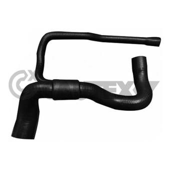 Durite de radiateur CAUTEX 753337