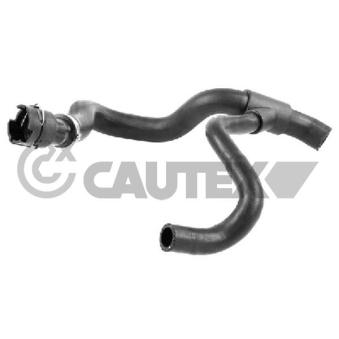 Durite de radiateur CAUTEX OEM 1216311
