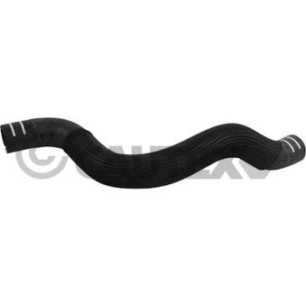 Durite de radiateur CAUTEX 753737