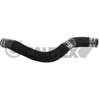 Durite de radiateur CAUTEX 753754