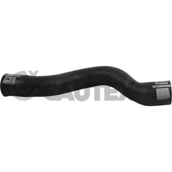 Durite de radiateur CAUTEX OEM 1343JR