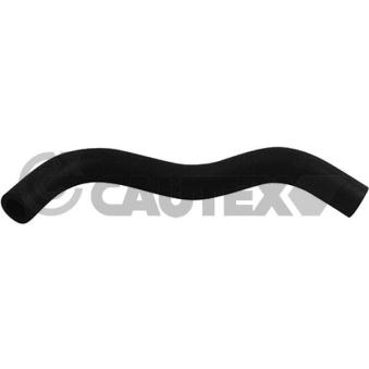 Durite de radiateur CAUTEX OEM 144989543R