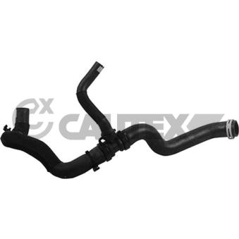 Durite de radiateur CAUTEX 753875