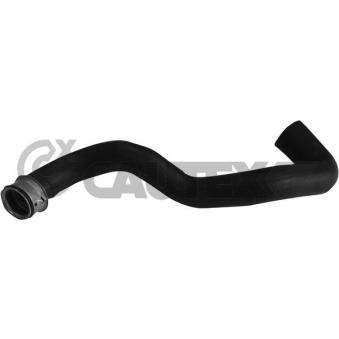 Durite de radiateur CAUTEX 753906