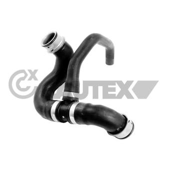 Durite de radiateur CAUTEX OEM 9065013082