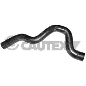 Durite de radiateur CAUTEX 754126