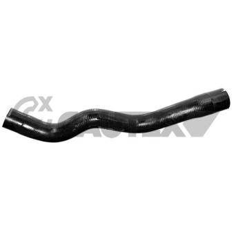 Durite de radiateur CAUTEX 754127