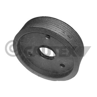 Poulie, pompe de direction assistée CAUTEX OEM 8200111785