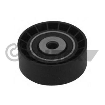 Poulie renvoi/transmission, courroie trapézoïdale à nervures CAUTEX OEM 8200040161