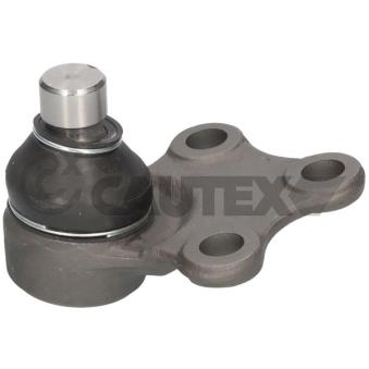 Rotule de suspension CAUTEX OEM 364051