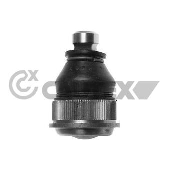 Rotule de suspension CAUTEX OEM 8200679067