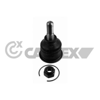 Rotule de suspension CAUTEX 755008
