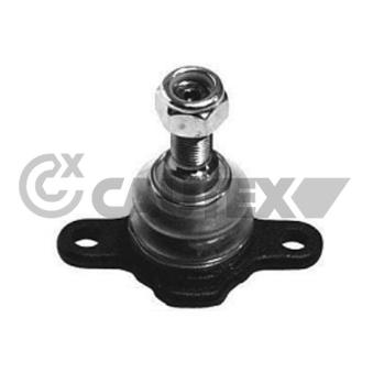 Rotule de suspension CAUTEX OEM 701407361B Rotule de suspension CAUTEX OEM 701407361B