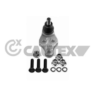 Rotule de suspension CAUTEX OEM RBK500130