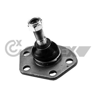 Rotule de suspension CAUTEX OEM 1302368080