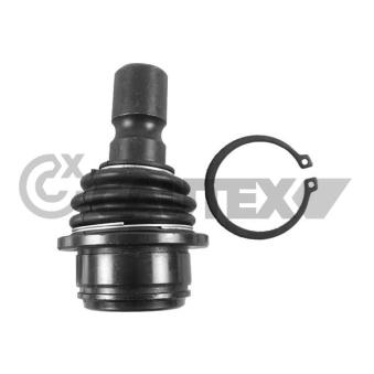 Rotule de suspension CAUTEX OEM 551A1EB300