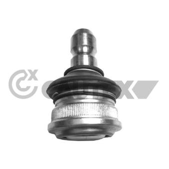 Rotule de suspension CAUTEX OEM 545302K000