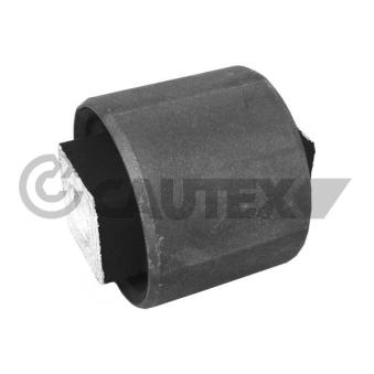 Triangle ou bras de suspension (train arrière) CAUTEX OEM RGD000090