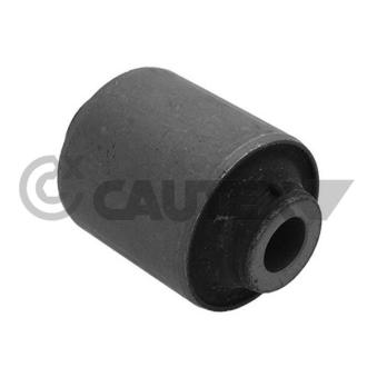 Silent bloc de l'essieu / berceau CAUTEX 755537