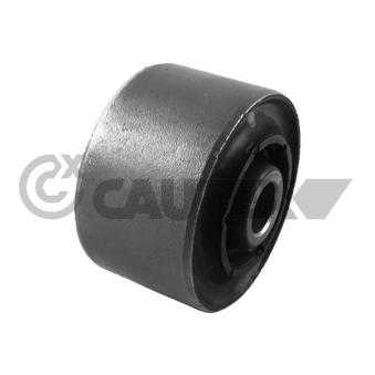 Suspension, corps de l'essieu CAUTEX 755627