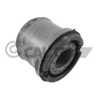 Suspension, corps de l'essieu CAUTEX 755697