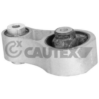 Suspension, boîte automatique CAUTEX 755903 pour FORD FIESTA 1.4 LPG - 92cv