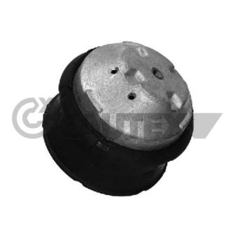 Support moteur CAUTEX OEM 2022401917