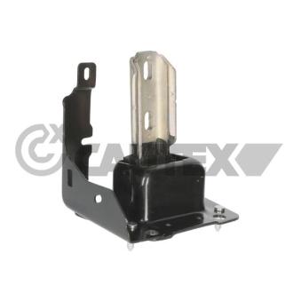 Support moteur CAUTEX OEM 9801521580