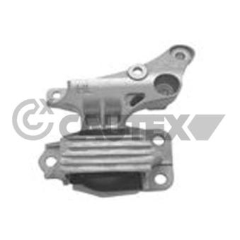 Support moteur CAUTEX OEM 112100017R Support moteur CAUTEX OEM 112100017R