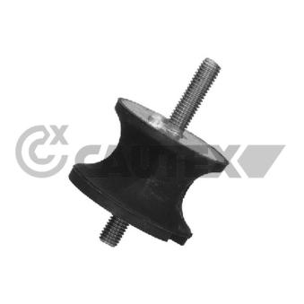 Suspension, boîte de vitesse manuelle CAUTEX OEM 22316799411