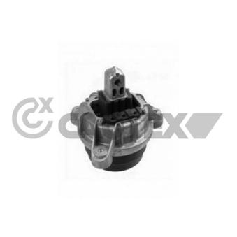 Support moteur CAUTEX OEM 22116785601