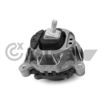 Support moteur CAUTEX OEM 22116787657