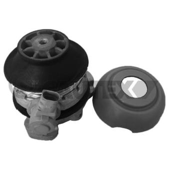 Support moteur CAUTEX 756509 pour AUDI A8 3.2 FSI - 260cv
