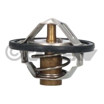 Thermostat, liquide de refroidissement CAUTEX OEM 21200V0100