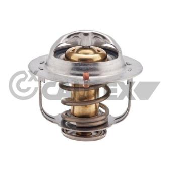 Thermostat, liquide de refroidissement CAUTEX OEM 19301PLZD00