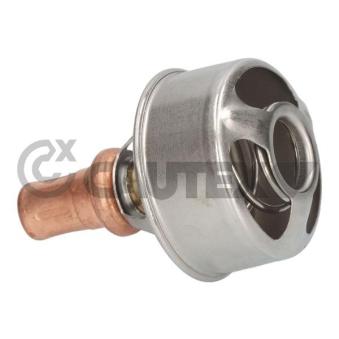 Thermostat, liquide de refroidissement CAUTEX OEM 522328