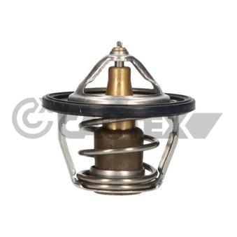 Thermostat, liquide de refroidissement CAUTEX OEM 21200AA072