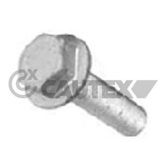 Vis de poulie CAUTEX OEM 8200557644