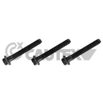 Vis de poulie CAUTEX OEM 9659920080