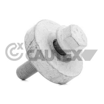 Vis de poulie CAUTEX OEM 8200608653 Vis de poulie CAUTEX OEM 8200608653