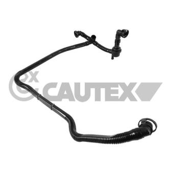 Tuyau, ventilation de carter-moteur CAUTEX 757372