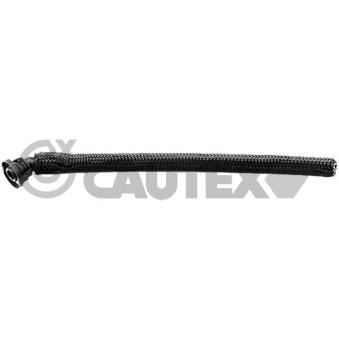 Tuyau, ventilation de carter-moteur CAUTEX OEM 11151437641