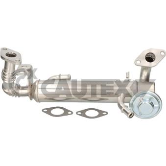 Radiateur, réaspiration des gaz d'échappement CAUTEX OEM 504178568