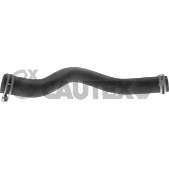 Durite de radiateur CAUTEX OEM 1706843