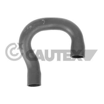 Durite de radiateur CAUTEX OEM 076121063E