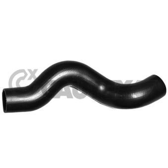 Gaine de suralimentation CAUTEX OEM 24451330