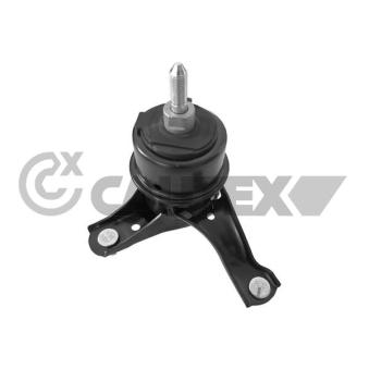 Support moteur avant droit CAUTEX OEM 1236236030